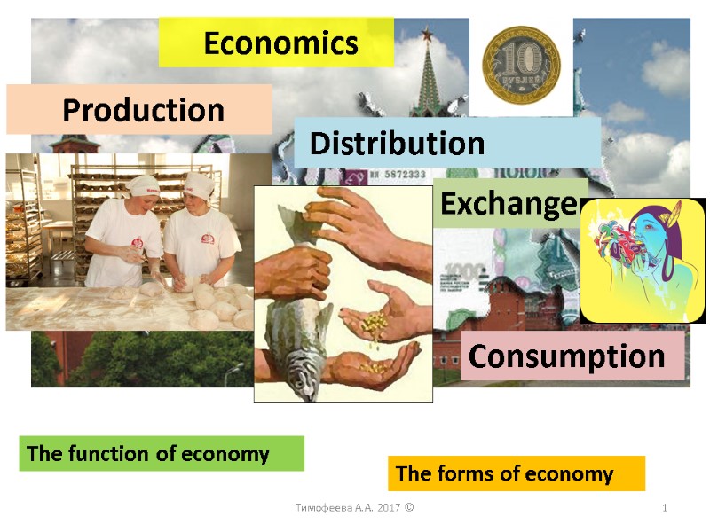 Economics  Production  Distribution Exchange Consumption The function of economy The forms of